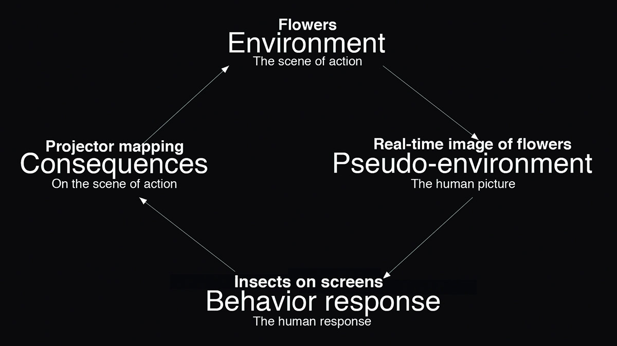 Wu Ziwei, Pseudo-environment in Public Opinion and the correspondence relationships In Mimicry. © Wu Ziwei
